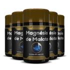 5X Magnesio De Malato Premium 60 Caps Hf Suplementos