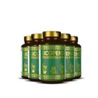 5X Oleo De Abacate Com Vitaminas 60 Caps Hf Suplementos - HF Suplements