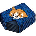 6 Caminhas para Cães e Gatos Dobrável 300 Lavagens 100x70 Patinha Azul 3 Camadas Antipulgas