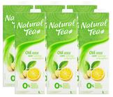 6 Chá Verde Laranja e Gengibre Zero Açúcar Natural Tea 1l