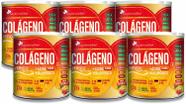 6 Colágeno Verisol + Ácido Hialurônico 250g Laramora - FNB - Flora Nativa do Brasil