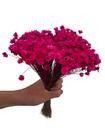 600 Sempre Vivas Decoração Casamento Lembrança Rosa Pink