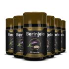 6x dieta mais nutrititva com berinjela e cromo - HF SUPLEMENTOS