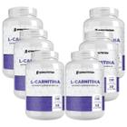 6x L-carnitina 120 Cápsulas 2000mg New Nutrition