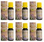 6x Óleo Vegetal - Plus Mel - 20ml (cada) - Produto 100% NATURAL