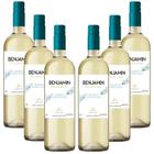 6x Vinho Argentino BENJAMIN NIETO Branco Suave 750ml