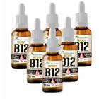 6x Vitamina B12 Metilcobalamina 9,94mcg Por Gota 20ml - Flora Nativa do Brasil