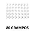 80 Grampos Tipo 1 Linha PGV + Fusca Moderno + P19-A 273 GRAMPO FORRAÇÃO GOL