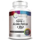 Ácido Fólico Com Vitamina B12 60 Capsulas 500Mg - Multivita