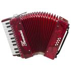 Acordeon 8 Baixos 22 Teclas TA 822 Vermelho Thommasi