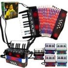 Acordeon Sanfona Gaita Infantil 8 Baixos 17 Teclas Brinquedo