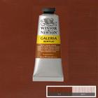 Acrilica W&N Galeria 60ml Burnt Sienna Opaque 77