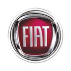 Adesivo Decorativo em relevo fácil aplicação FIAT - Cobra Motoparts