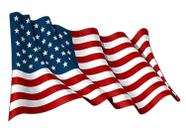 Adesivo Rogue River Tactical USA Flag 13x8 cm