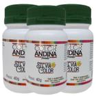 Adoçante Stévia 40g Color Andina 100% Natural 3 Potes
