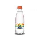 Agua mineral 300ml lindoya c/gas c/12