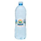 Água Mineral Lindoya Verão 900ml