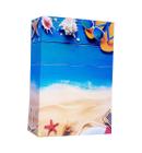 Album 10X15/500 Fotos Viagem Para Praia Picnik Com A Familia