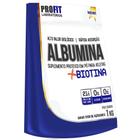 Albumina Com Biotina 1 Kilo Profit 0 Açúcar Chocolate