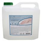 Álcool Gel Antisséptico 5 L Premisse