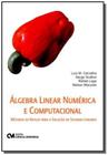 Algebra linear numerica e computacional: metodos d - CIENCIA MODERNA