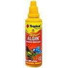 Algicida antialgas para aquários terrários fontes algin 50ml