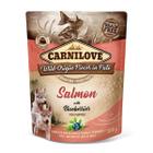 Alimentação Natural Carnilove Patê Premium Salmão com Mirtilos para Cães Filhotes Nutrição Completa