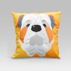 Almofada Avulsa Cheia Estampada Pet Dog em Veludo Suede 45cm x 45cm com Refil de Silicone - Decoração Raças Cachorros