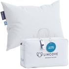 Almofada de dormir Lincove Cloud Natural Canadian White Down