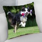 Almofada Decorativa Cheia c/ Zíper 25x25cm, Border Collie - Criative Gifts