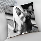 Almofada Decorativa Cheia c/ Zíper 40x40 Gatos Cat Felino