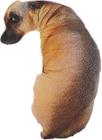 Almofada FUNSCENE 3D Simulation Pelush Stuffed Dog 50cm