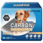 Almofadas de treinamento para cachorros HONEY CARE All-Absorb Jumbo Size GG 28x34cm