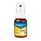 AmbroxMel Spray Mel/Gengibre - Cimed
