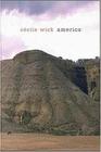 America landscapes - cecile wick - FBOOK COMERCIO DE LIVROS E REV