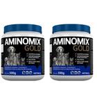 Aminomix Gold 500g Suplemento Cães Gatos 2 unidades