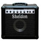 Amplificador (Cubo) Sheldon Bss300 Para Baixo 30W