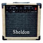 Amplificador Sheldon GT1200 Para Guitarra De 15W Cor Palha