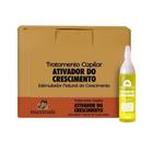 Ampola de Vitamina  Maxihair 10ml Ativa Cresci - Kit C/24un