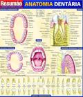 Anatomia dentaria vol 19