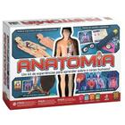 Anatomia kit de experiencias para aprender sobre o corpo humano grow