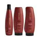 Aneethun Force Shampoo 300ml + Máscara 250g + Finalizador 250g