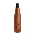 Aneethun Kera Shampoo Reestruturante 300ml