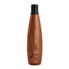 Aneethun Kera System Shampoo Reestruturante 300ml