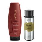 Aneethun Máscara Force System 250g +Wess Blond Shampoo 250ml