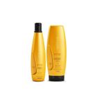 Aneethun Repair Shampoo 300ml + Finalizador 250ml