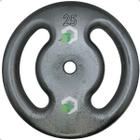 Anilha de Ferro Fundido Pintada - 25 Kg - 2M FITNESS