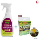 Anti Fungus Gnats Vector Dimy + Placa Adesiva Vaso Pestrap