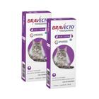 Antipulgas MSD Bravecto Transdermal para Gatos de 2,8 a 6,25 Kg