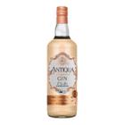 Antiqua Tropical Gin Orgânico - 1L - Weber Haus